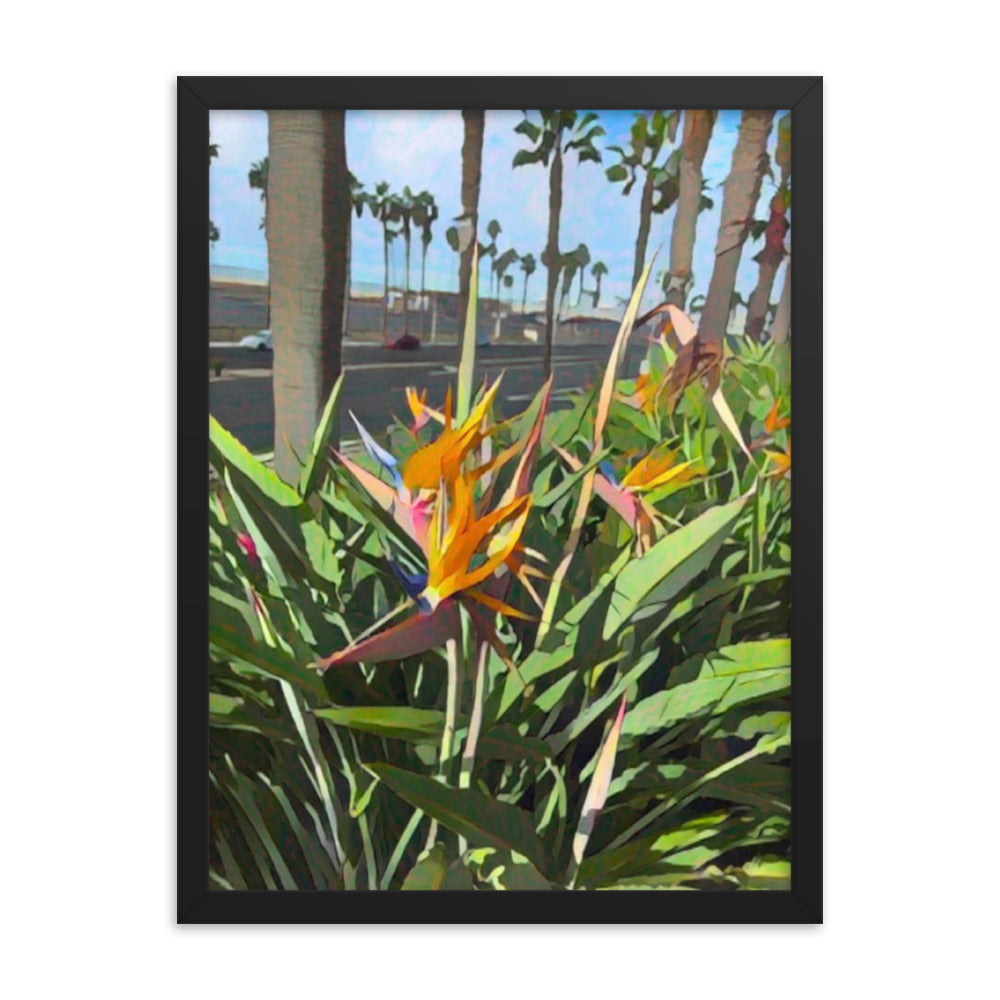 Paradise View - Framed Wall Art