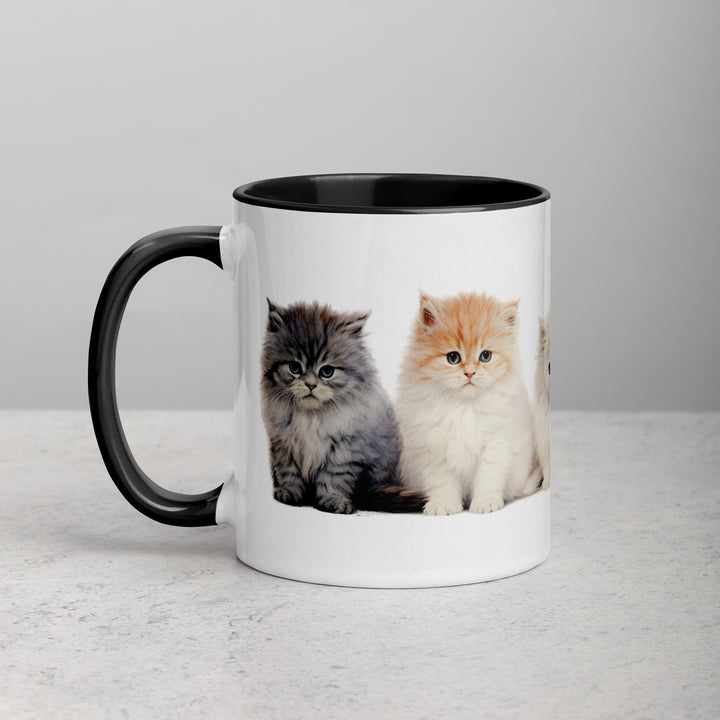 Persian Kittens - Mug with Color Inside