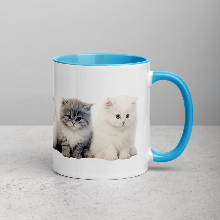 Persian Kittens - Mug with Color Inside