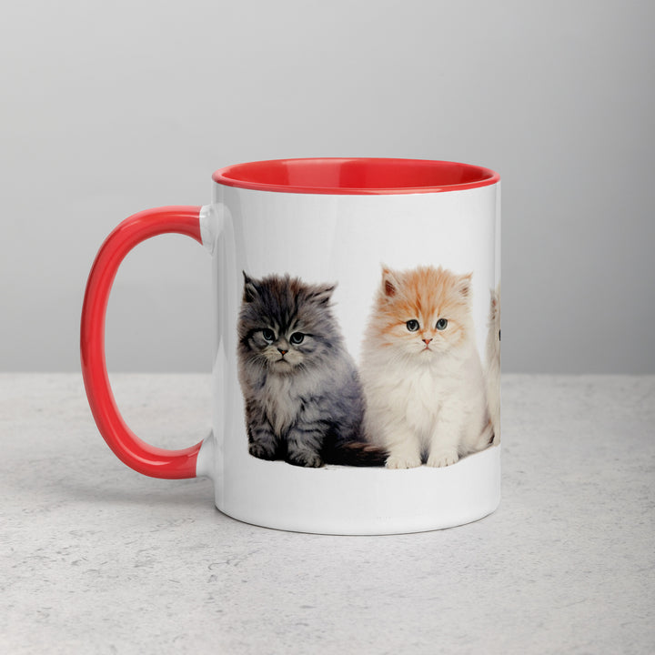 Persian Kittens - Mug with Color Inside